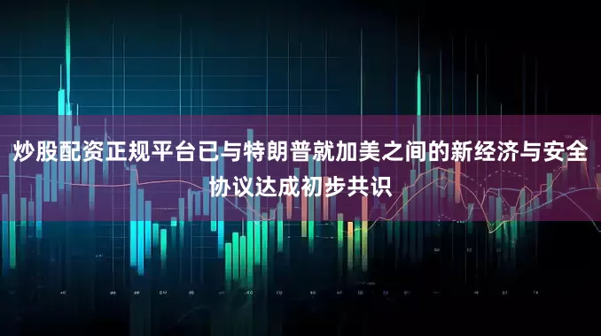 炒股配资正规平台已与特朗普就加美之间的新经济与安全协议达成初步共识