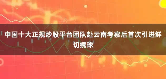 中国十大正规炒股平台团队赴云南考察后首次引进鲜切绣球