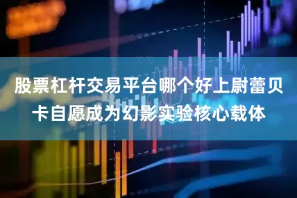 股票杠杆交易平台哪个好上尉蕾贝卡自愿成为幻影实验核心载体